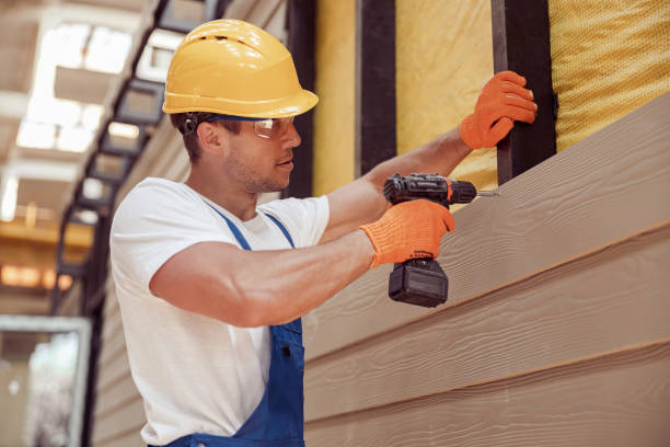 Best Siding Painting and Refinishing  in Hendron, KY